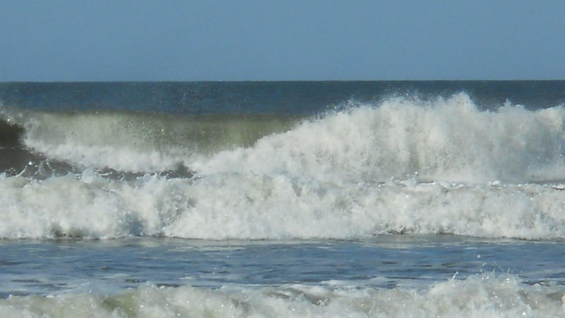Waves of confidence
